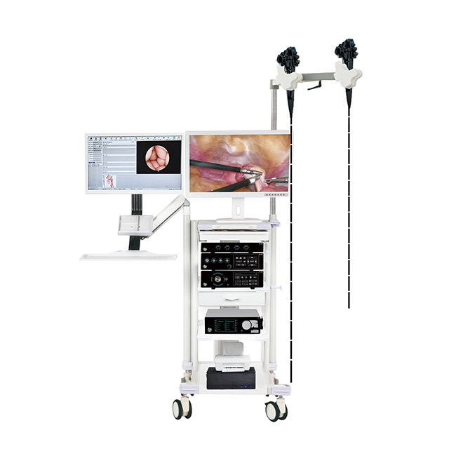 Equipamento eletr&ocirc;nico de gastroenteroscopia com esta&ccedil;&atilde;o de trabalho