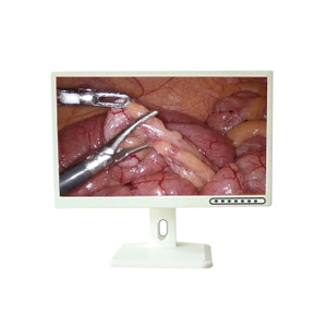 Monitor m&eacute;dico LED 4K de 24 polegadas