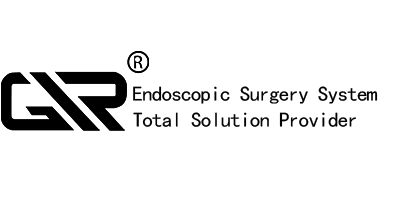 logotipo de 独 立 站