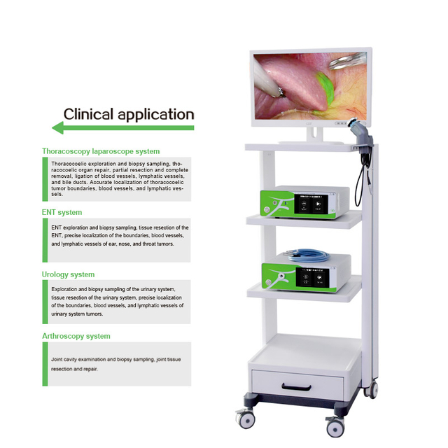  Sistema de c&acirc;mera endosc&oacute;pica de fluoresc&ecirc;ncia Medical Pet 4K