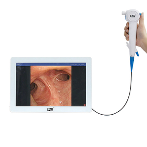 Pad und flexibles Endoskop