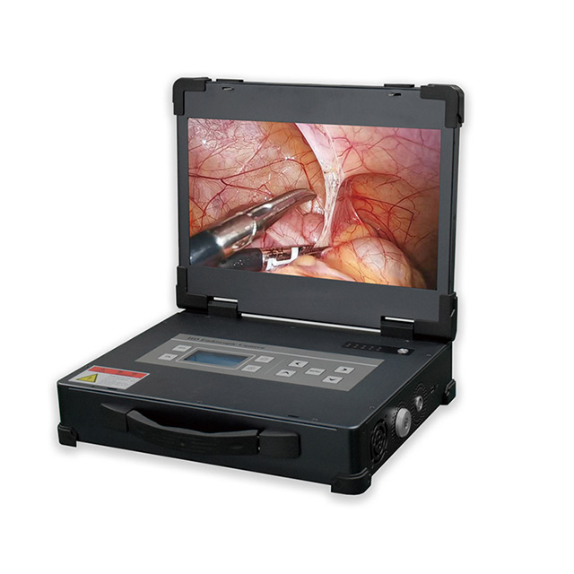 Sistema de c&acirc;mera endosc&oacute;pica multifuncional port&aacute;til HD-310 