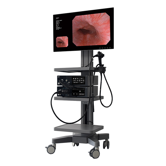 GEV-H1100 تنظير المعدة الإلكتروني عالي الوضوح