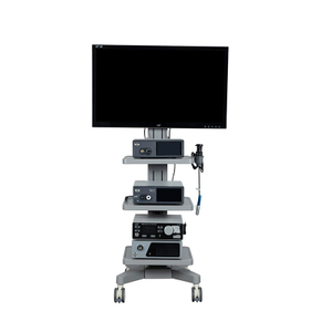 Ceamara Ionsc&oacute;p M&aacute;inliachta Fluaraiseachta 4K le sc&aacute;ile&aacute;n tadhaill seacht n-orlach le haghaidh M&aacute;inliacht Laparoscopy