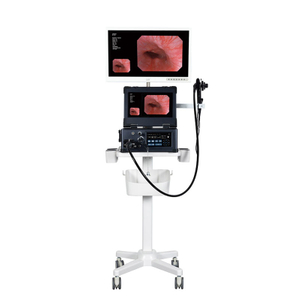 M&aacute;quina integrada port&aacute;til de gastroscopia y colonoscopia electr&oacute;nica port&aacute;til de 13,3 pulgadas